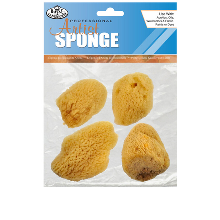 Photograph: Natural Sponges: Medium Fine (Pack of 4)