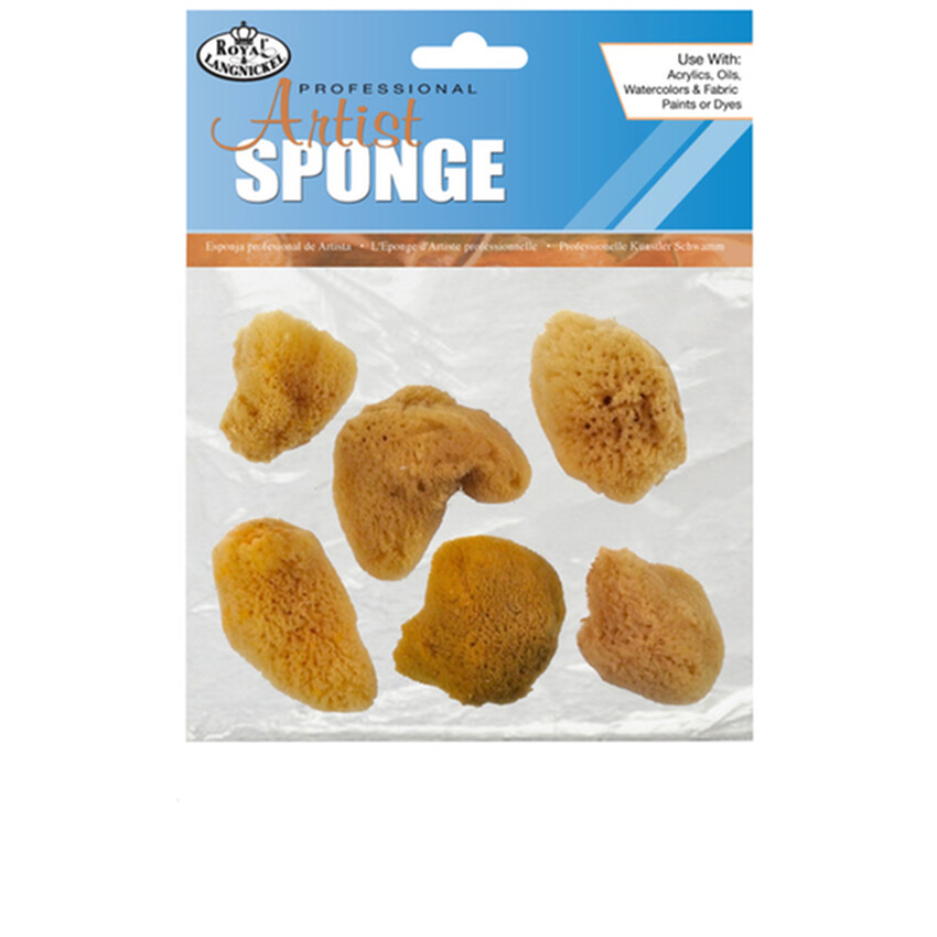 Photograph: Natural Sponges: Small Fine (Pack of 6)