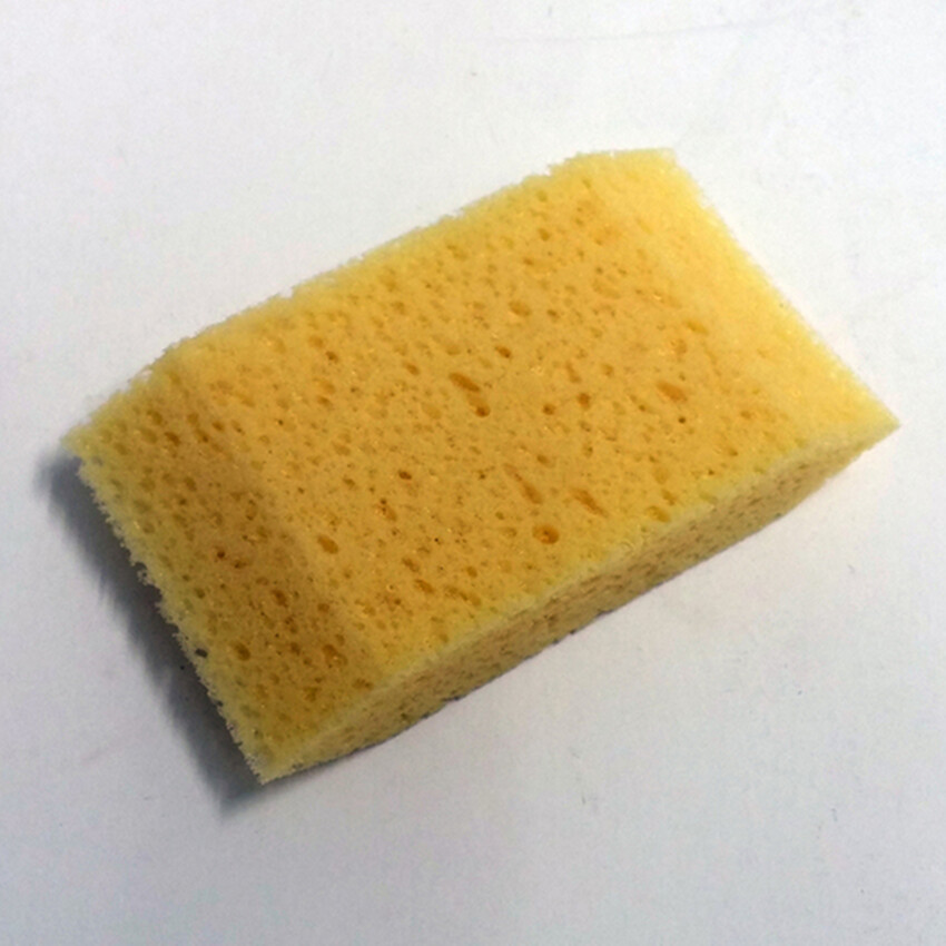 Photograph: Small Angled Sponge