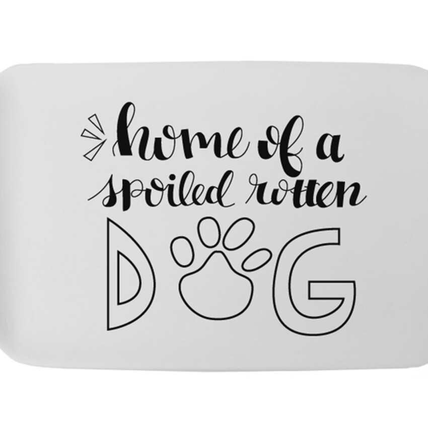 Photograph: Spoiled Rotten Dog