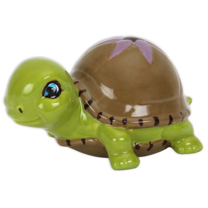 Photograph: Tilly The Turtle