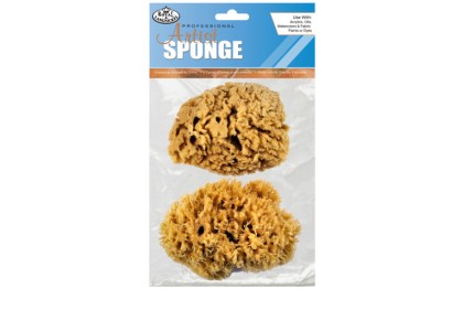 Natural Sponges: Medium Coarse (Pack of 2)