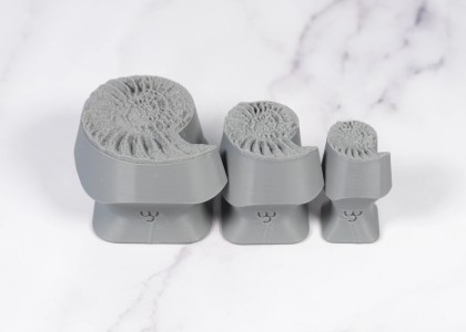 Ceramind Stamp Set: Photo Textured Ammonite