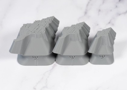 Ceramind Stamp Set: Photo Textured Conch Shell