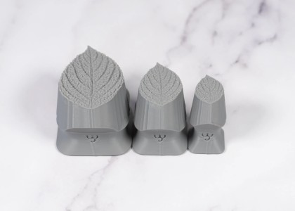 Ceramind Stamp Set: Photo Textured Generic Leaf