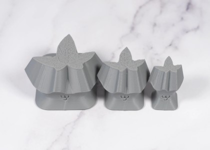 Ceramind Stamp Set: Photo Textured Common Ivy