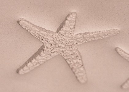 Ceramind Stamp Set: Photo Textured Starfish