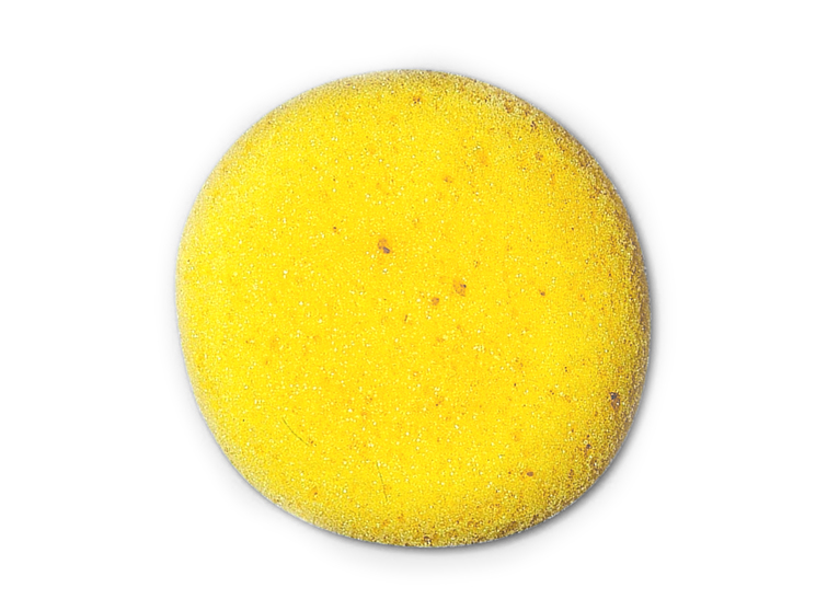 Round Sponge-12 Pack