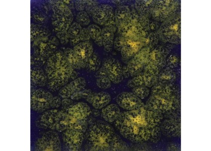 Mayco Jungle Gems Brush-On Glaze: Starry Night  118ml