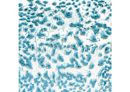 AMACO Crawls - Speckled Teal 473ml