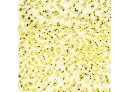 AMACO Crawls - Yellow 473ml