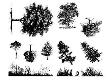 Mayco Designer Silkscreen: Botanical (Trees)
