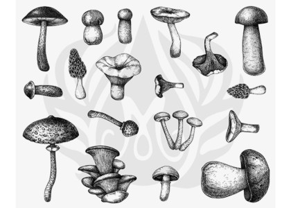 Mayco Designer Silkscreen: Holiday Icons