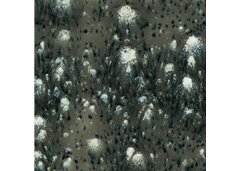 Mayco Crystalites Brush-On Glaze: Cosmic Black 118ml
