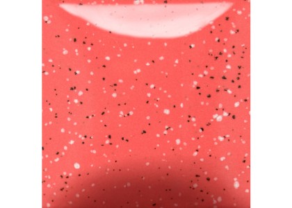 Spec.Cutie Pie Coral