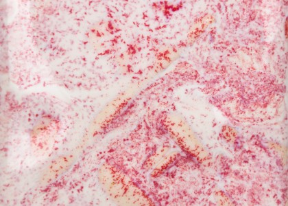 Mayco Stoneware Brush-On: Pink Pearl 473ML