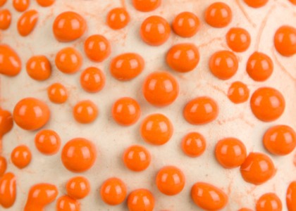 Ritual Glaze Beads - Orange Bead 473ml