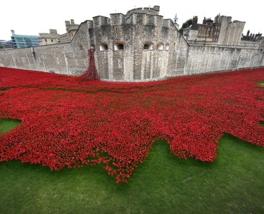 Tower Poppies: Campaign