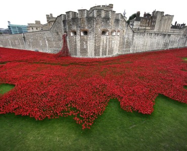 Tower Poppies: Clay supplied by Potclays